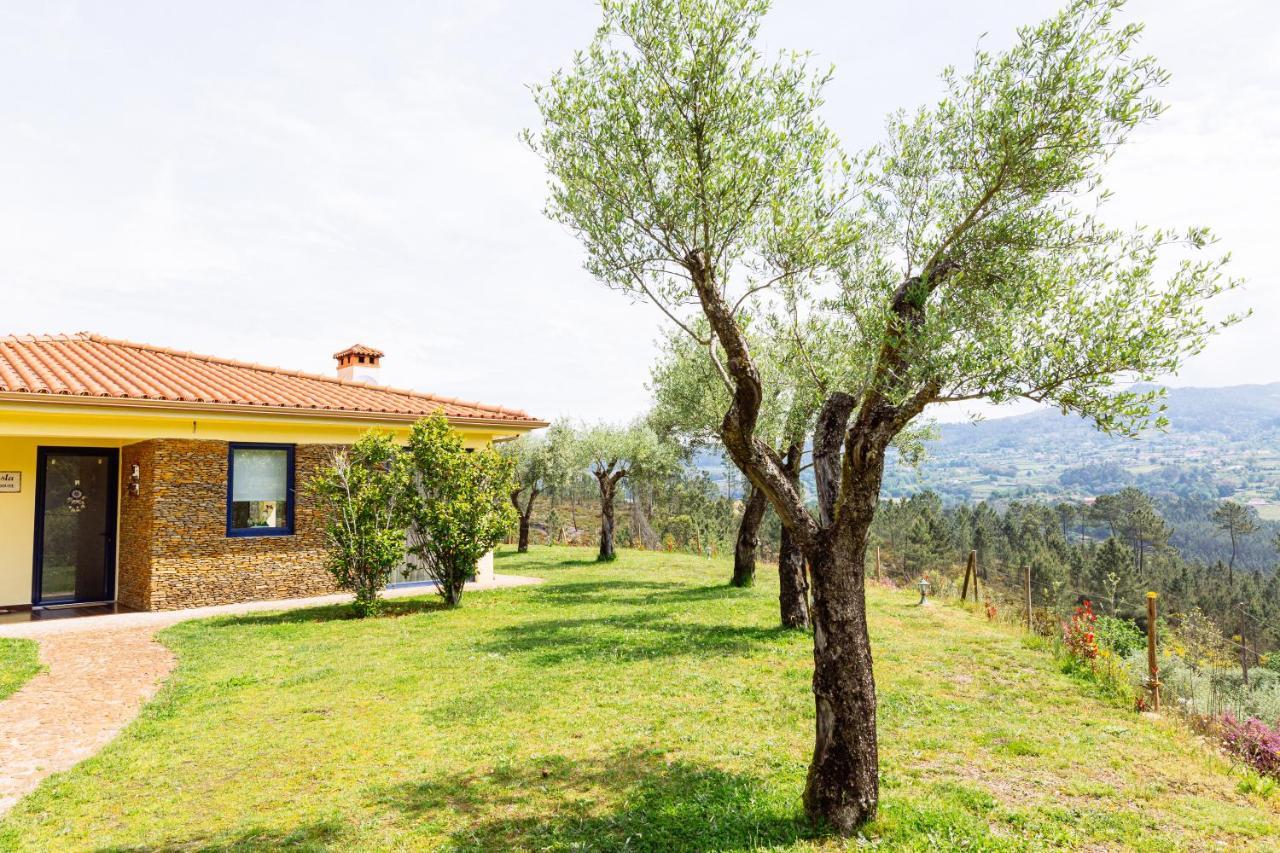 Boavista Country Houses No 87 Cabeceiras de Basto Bagian luar foto
