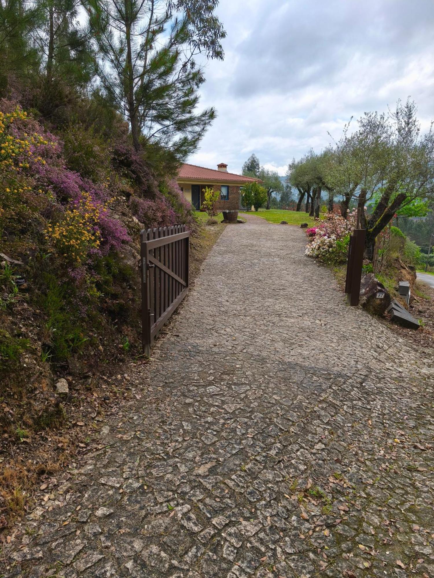 Boavista Country Houses No 87 Cabeceiras de Basto Bagian luar foto